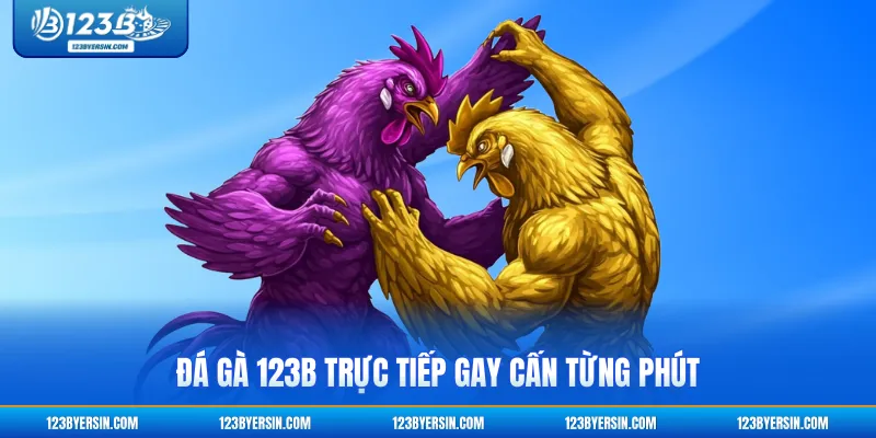 Đá gà 123B trực tiếp gay cấn từng phút